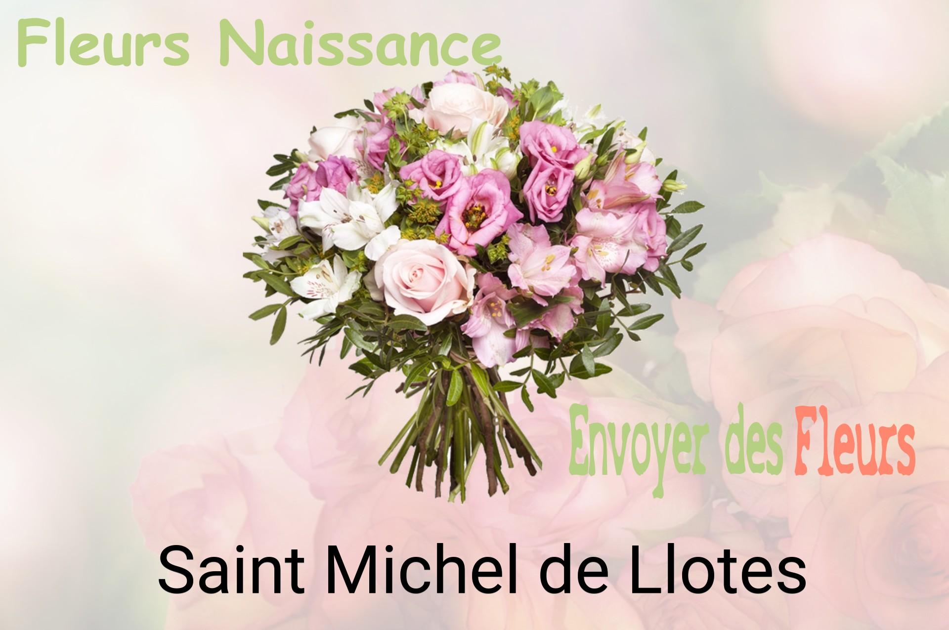 Bouquet de fleurs de naissance livré à Saint-Michel-de-Llotes
